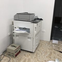 IMG 3573