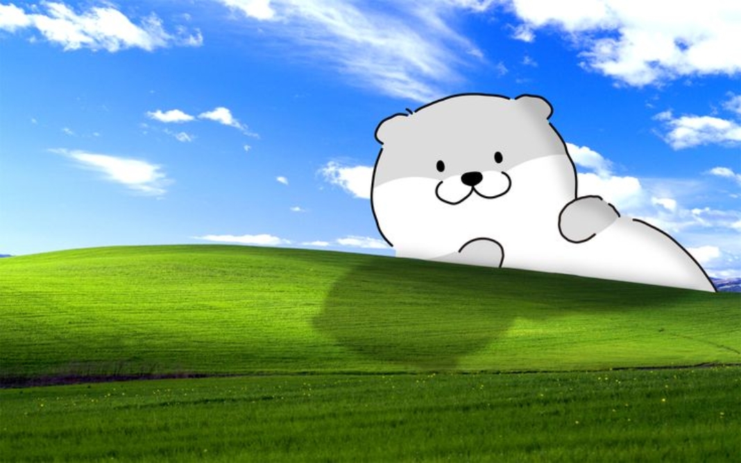 1763435907 879 Tong hop 50 hinh nen vo tri cute nhat cho