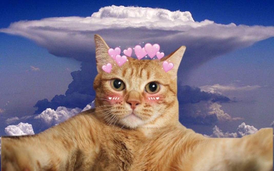 1763435908 580 Tong hop 50 hinh nen vo tri cute nhat cho