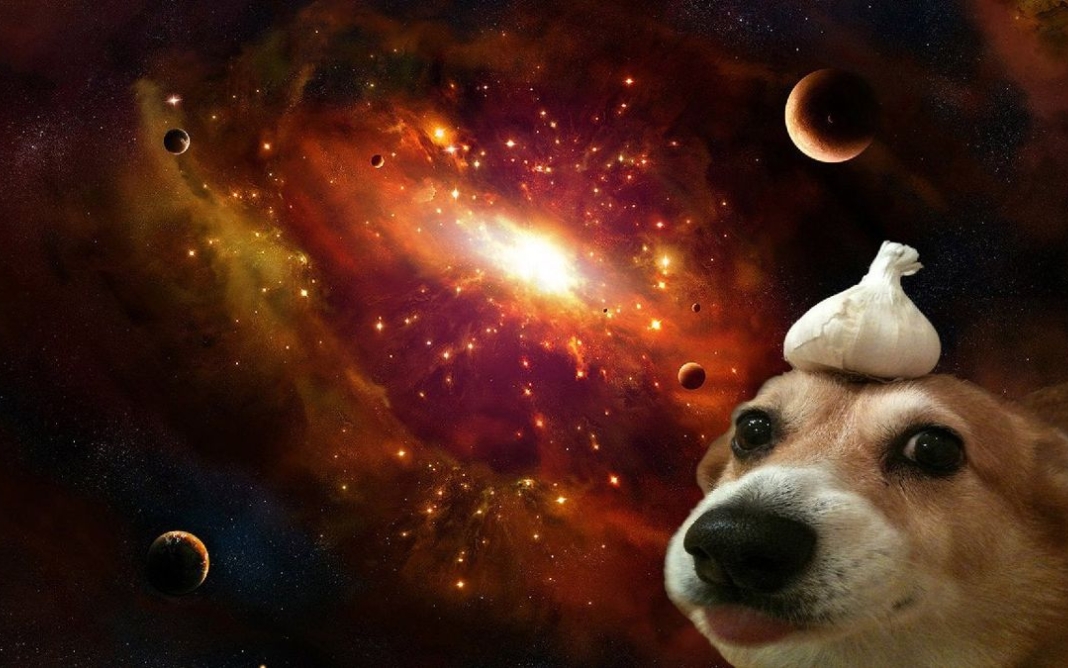 1763435908 697 Tong hop 50 hinh nen vo tri cute nhat cho