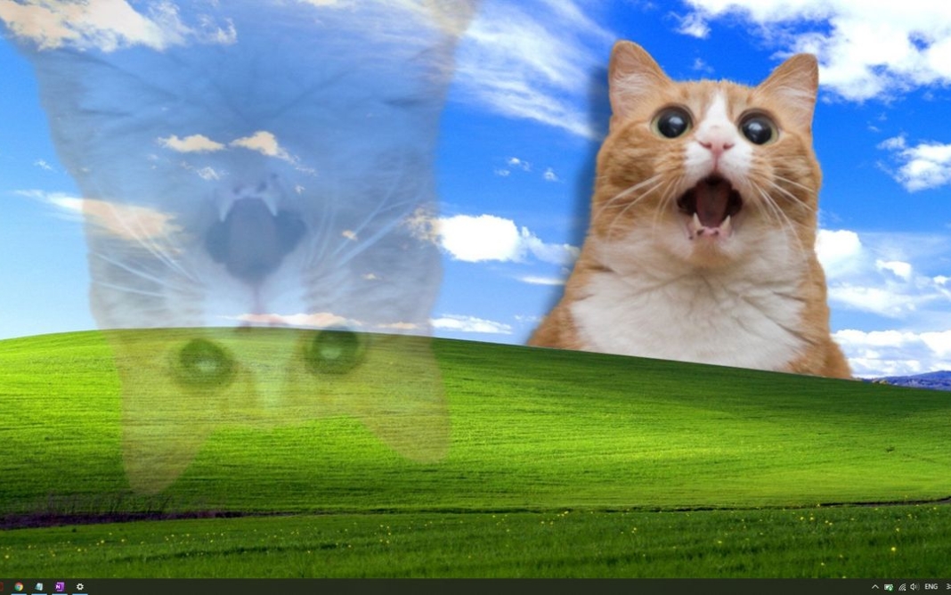 1763435909 160 Tong hop 50 hinh nen vo tri cute nhat cho