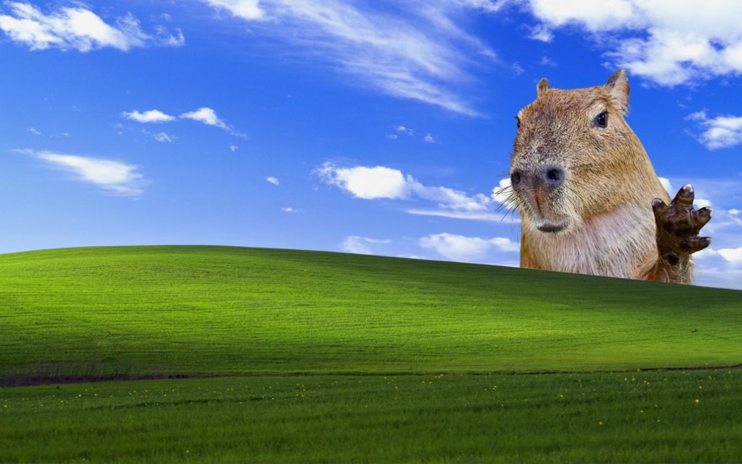 1763435910 289 Tong hop 50 hinh nen vo tri cute nhat cho