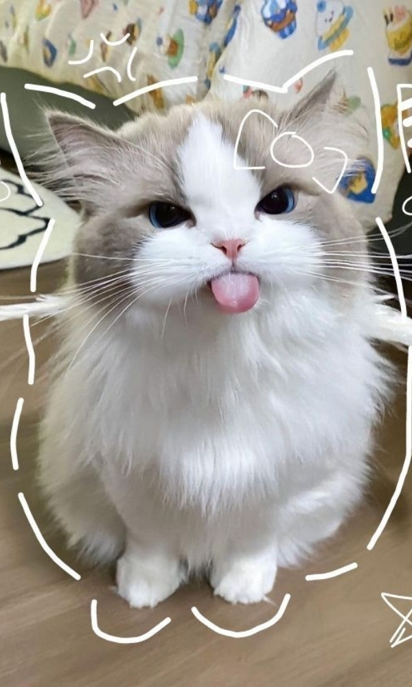 1763435920 590 Tong hop 50 hinh nen vo tri cute nhat cho