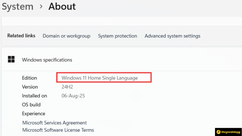 1763978968 249 Cach kiem tra phien ban Windows may tinh nhanh nhat