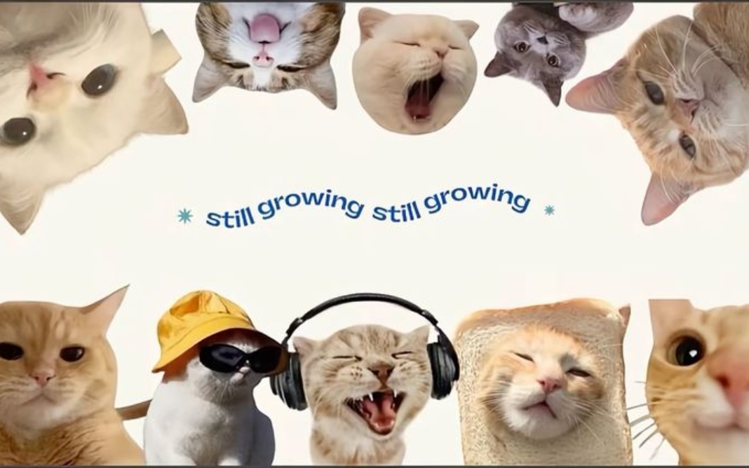 50 hình nền vô tri cute nhất cho máy tính và điện thoại