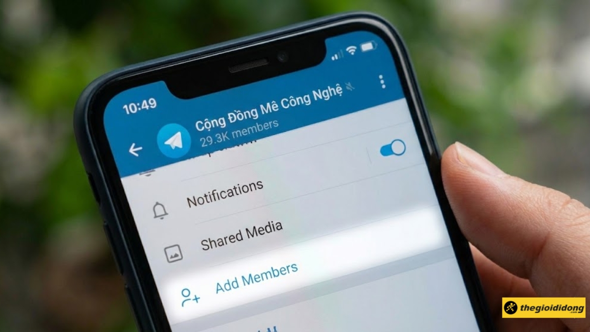 1764922219 601 Link Telegram la gi Cach lay link ca nhan nhom