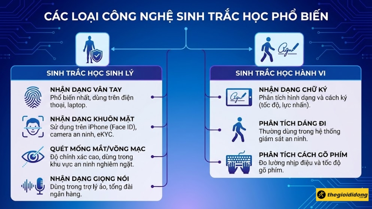 1764975575 114 Sinh trac hoc la gi Cach xac thuc cap nhat