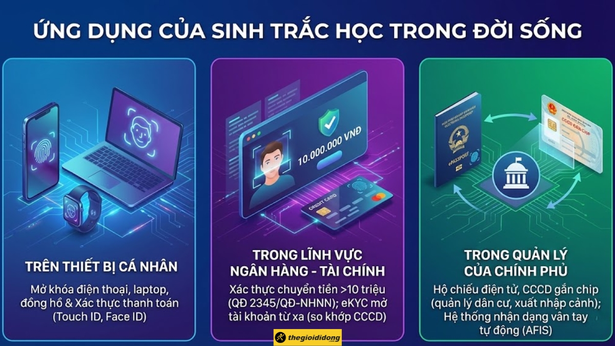 1764975576 256 Sinh trac hoc la gi Cach xac thuc cap nhat