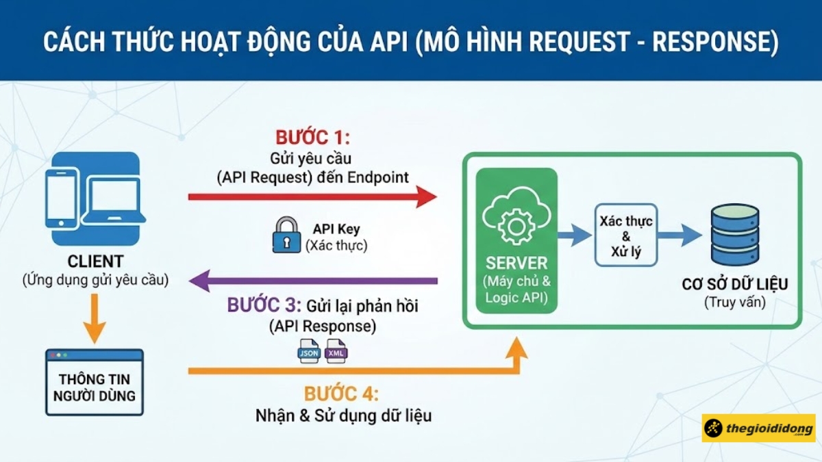 API là gì? Cách hoạt động và các loại API phổ biến nhất 2025