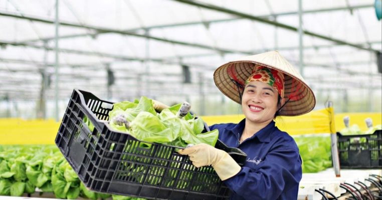 98 1744358953 kinh te tuan hoan nong nghiep1