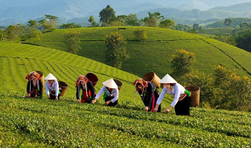 ung dung khoa hoc cong nghe va chuyen doi so de xay dung nong thon moijpg