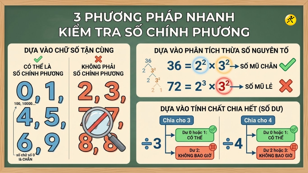 1767602826 265 So chinh phuong la gi 3 cach nhan biet Vi