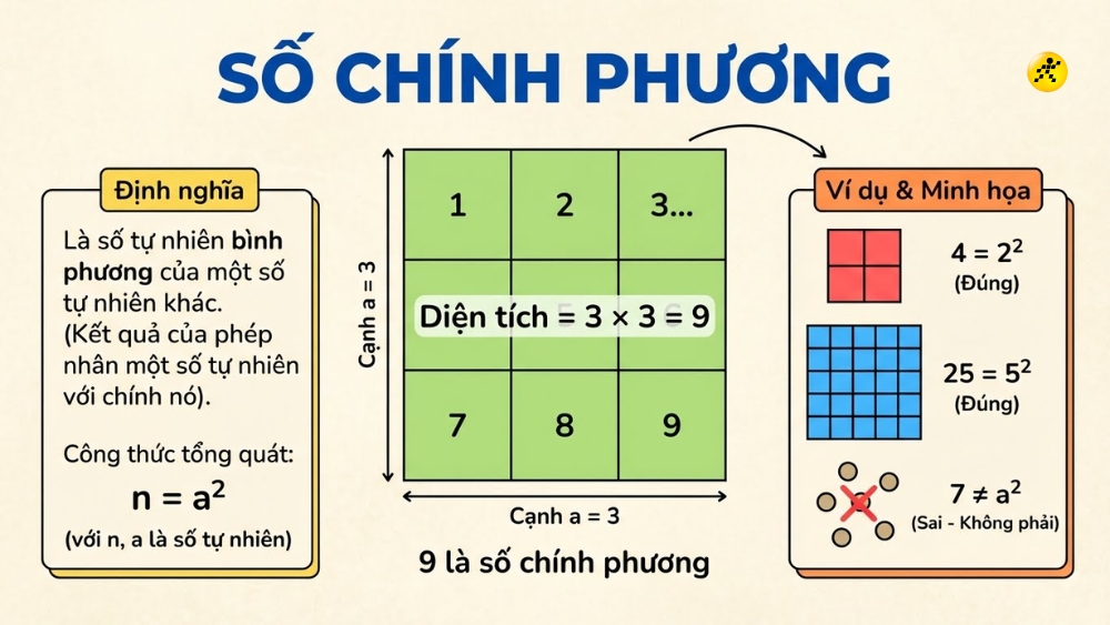 So chinh phuong la gi 3 cach nhan biet Vi