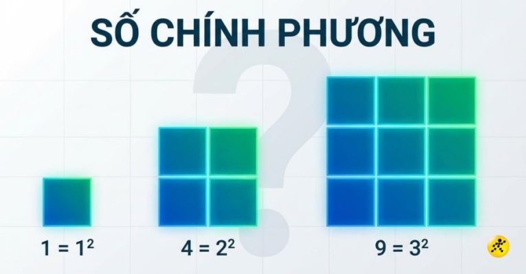 so chinh phuong la gi thumb