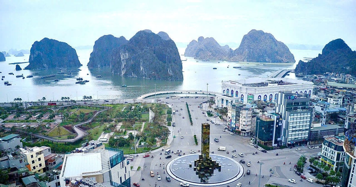 1771141973 anh 1 bai 8